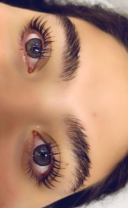 Eyelash Tint & Lift Only